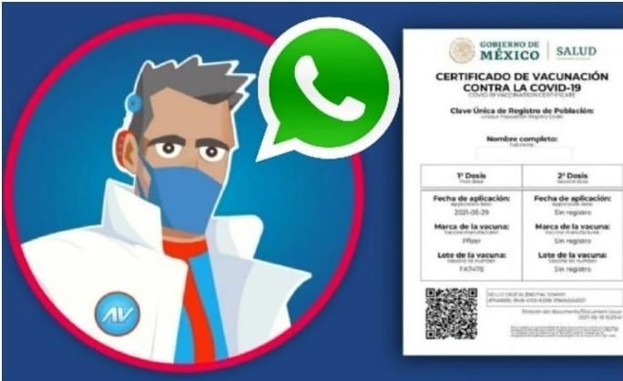 ¿Cómo descargar tu certificado de vacunación COVID-19 en WhatsApp?