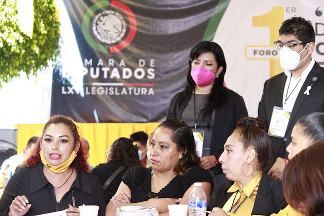 EN EL CONGRESO DE LA UNION, MUJERES MEXIQUENSES REALIZAN FORO DE DEFENSA A LOS DERECHOS FEMENINOS Y FAMILIAS MEXIQUENSES.