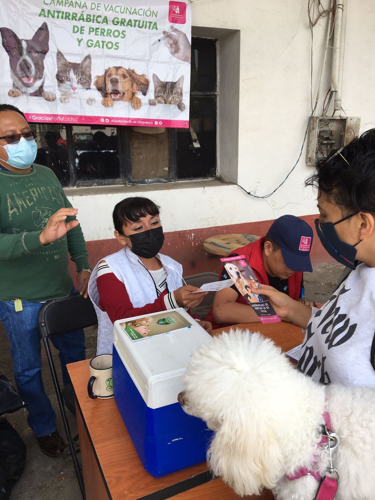 Protegen de la rabia a perros y gatos en Ixtapaluca