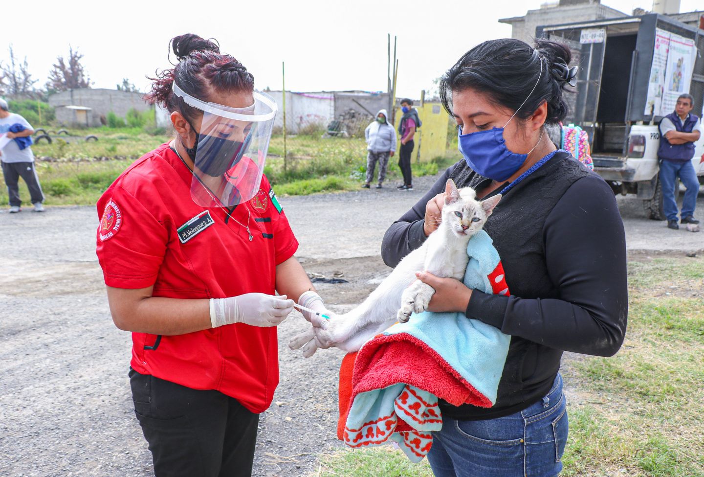 Zoonosis Chimalhuacán alista jornada de esterilización canina y felina en barrio Vidrieros