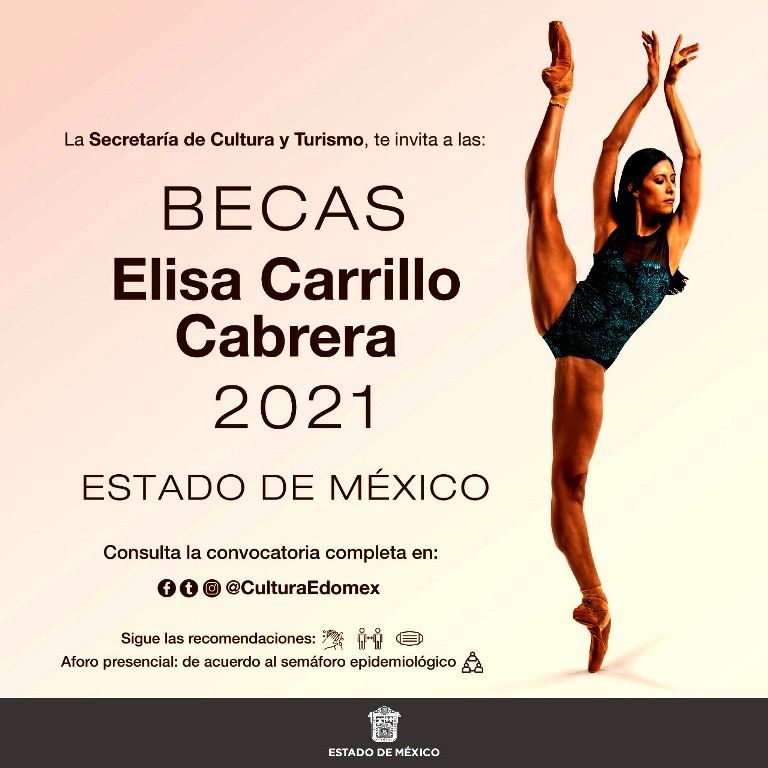 Convocan a la beca Elisa Carrillo Cabrera 2021
