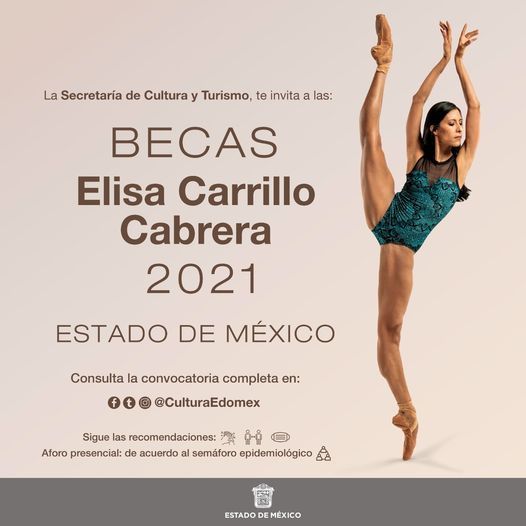 Convocan a la Beca "Elisa Carrillo Cabrera 2021"