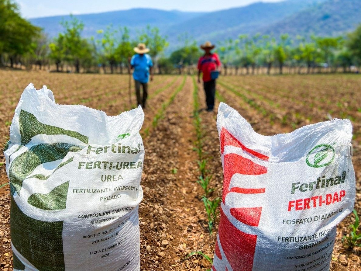 Aumento en el precio de fertilizantes pone en grave riesgo el abasto de alimentos 
