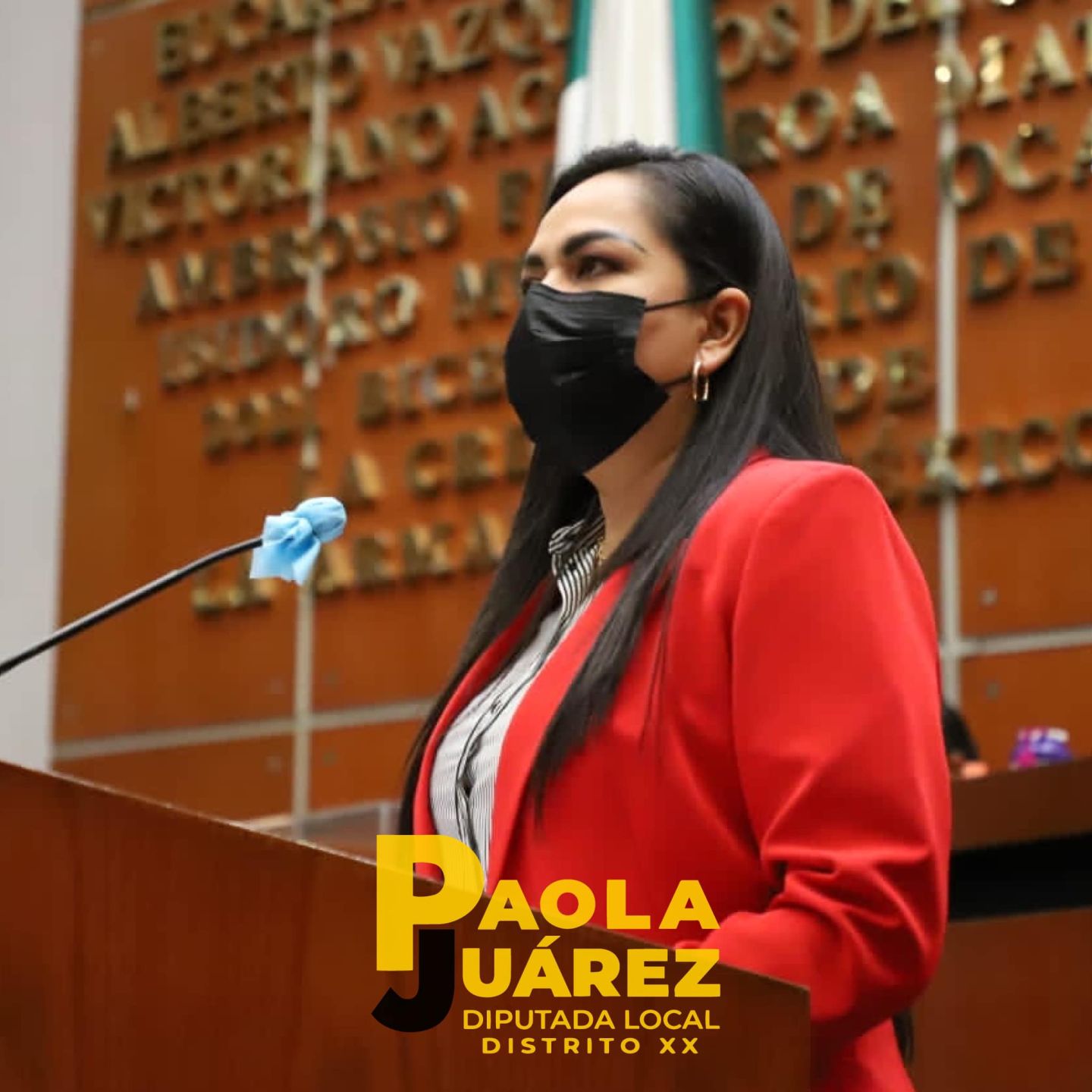 Los derechos de las niñas y niños sobre los usos y costumbres: Paola Juárez Gómez 