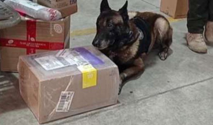 Con apoyo de agentes caninos, SSP asegura paquetes con droga en Poza Rica.