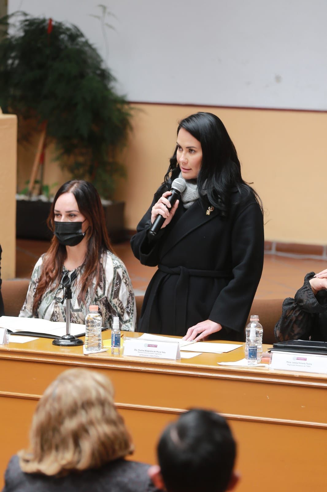 Con Del Mazo, 70% del presupuesto al empoderamiento femenino: Alejandra Del Moral Vega




  