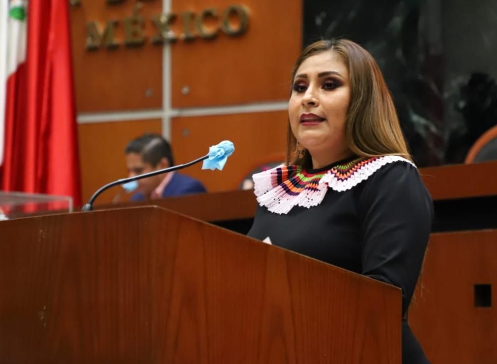 Necesario redoblar esfuerzos en el Congreso de Guerrero para garantizar los derechos políticos de las mujeres: Alejo Rayo