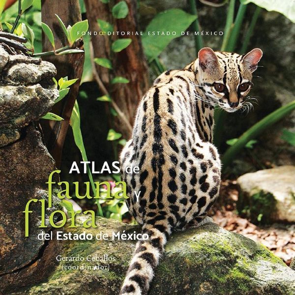 Difunde CEAPE la flora y fauna del Estado de México a través de sus libros