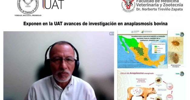 Exponen en la UAT avances de investigación en anaplasmosis bovina