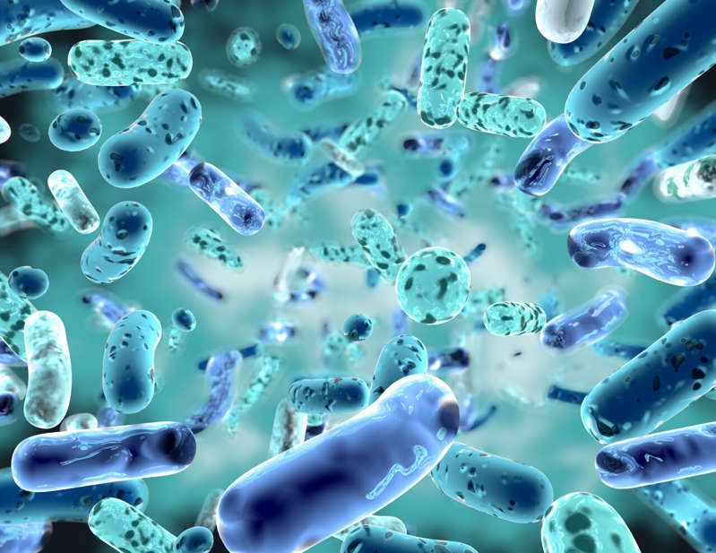 Científicos hallan bacteria que pondría fin a las infecciones por COVID-19