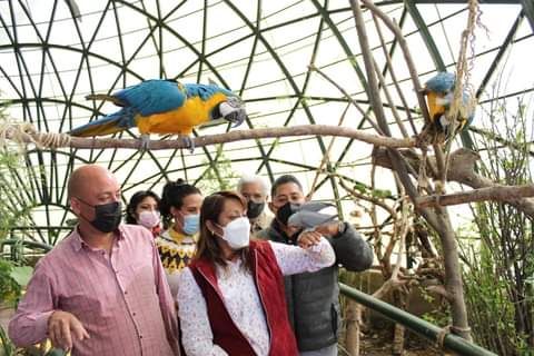 Reactivan aviario, granja y lago en Parque Ecoturístico "Chimalhuache"