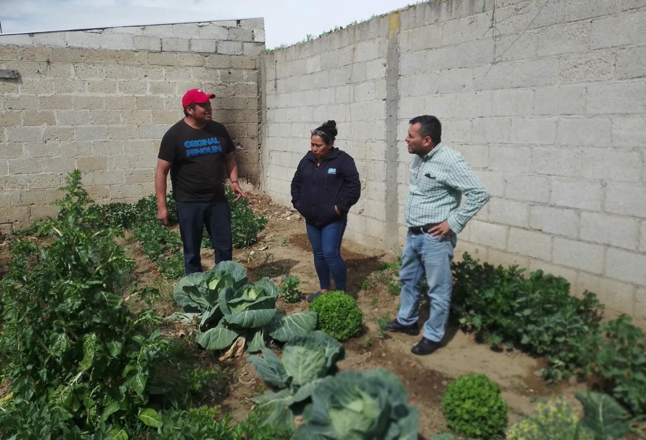 Arranca Ayuntamiento de Atoyac programa de cultivo de hortalizas