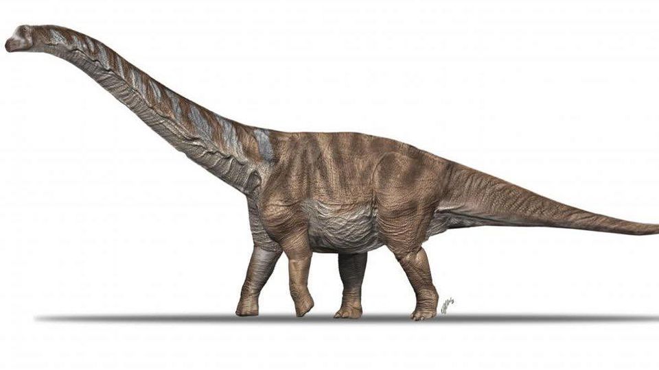 Descubren nueva especie de dinosaurio que vivió en el Pirineo