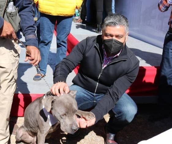 Gobierno de Coacalco invita a sus ciudadanos a adoptar un perro