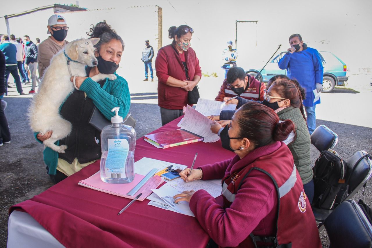#En Chimalhuacán realizan jornadas de esterilización de perros y gatos