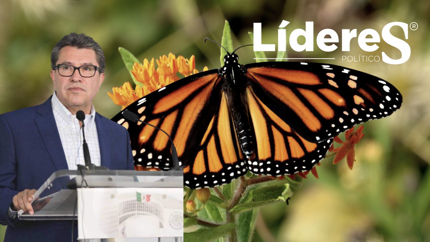 Impulsa Ricardo Monreal proyecto de la sociedad civil para preservar hábitat de la Mariposa Monarca 