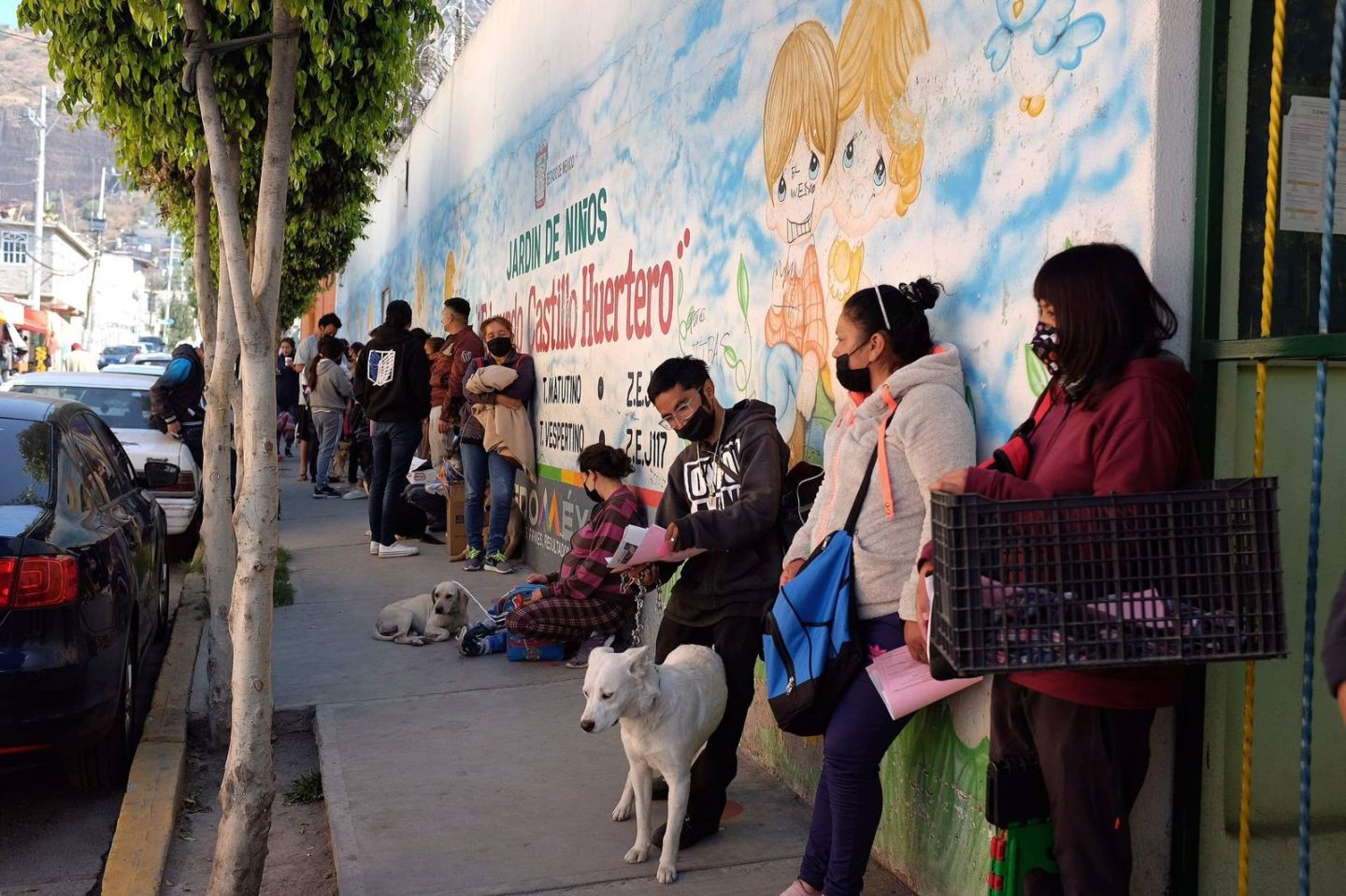 ISEM y ZOONOSIS Chimalhuacán evitan sobrepoblación de animales callejeros 