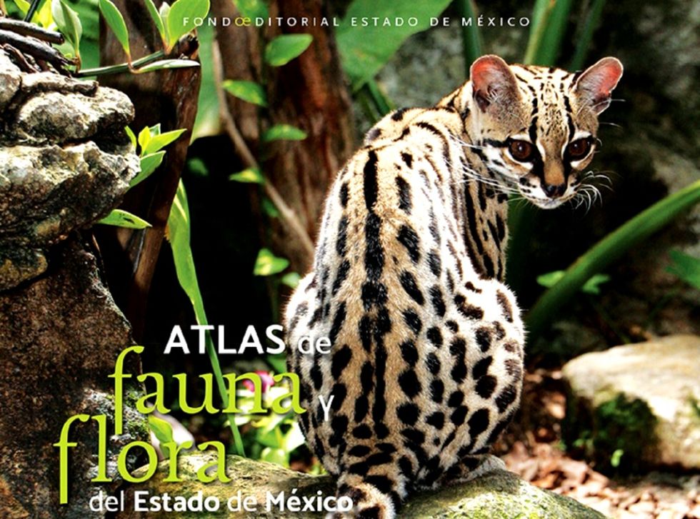 El FOEM presenta libros que acercan a la diversidad biológica del Estado de México