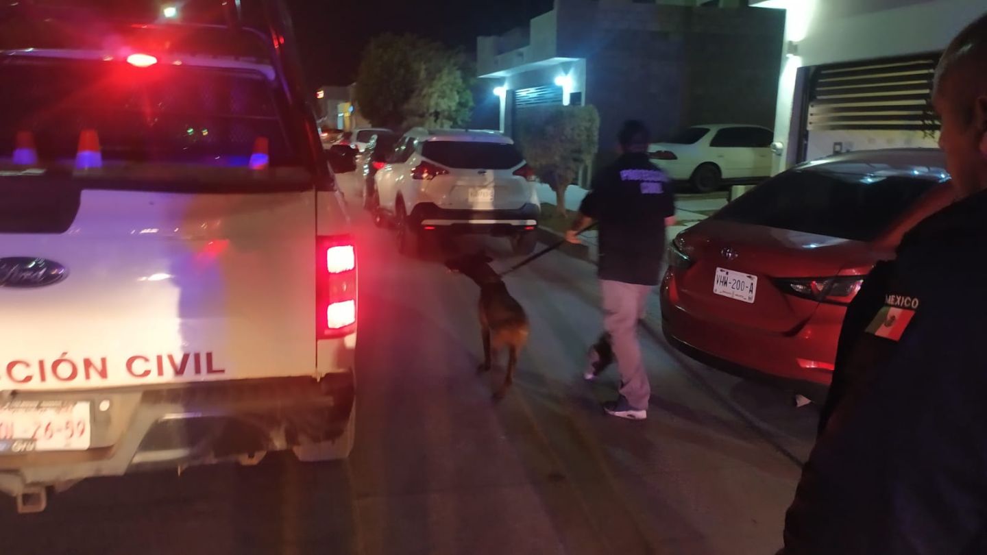 El perrito "Pfizer" de Protección Civil localiza a niño extraviado en Los Mochis