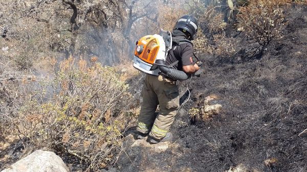 Protección Civil y Bomberos de Texcoco sofocan incendios en el Tezcutzingo