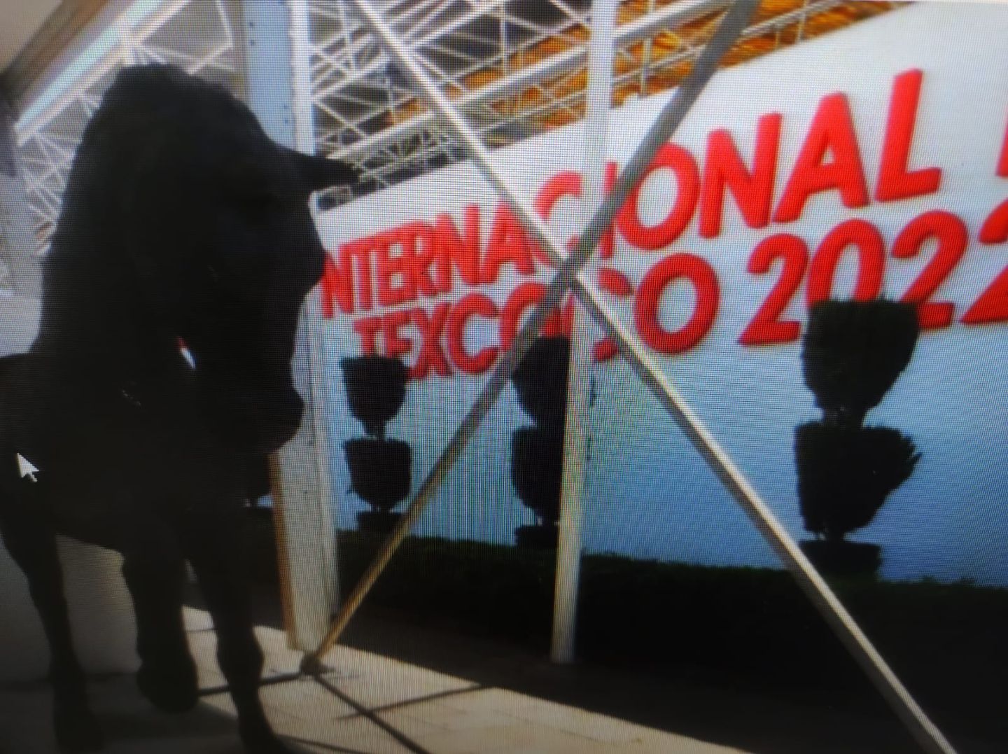 #Del 1 al 24 de abril La Feria Internacional del Caballo: Jorge Luis Cortés