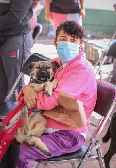 200 Mascotas Esterilizadas en el Centro de Salud Fundidores de Chimalhuacán
