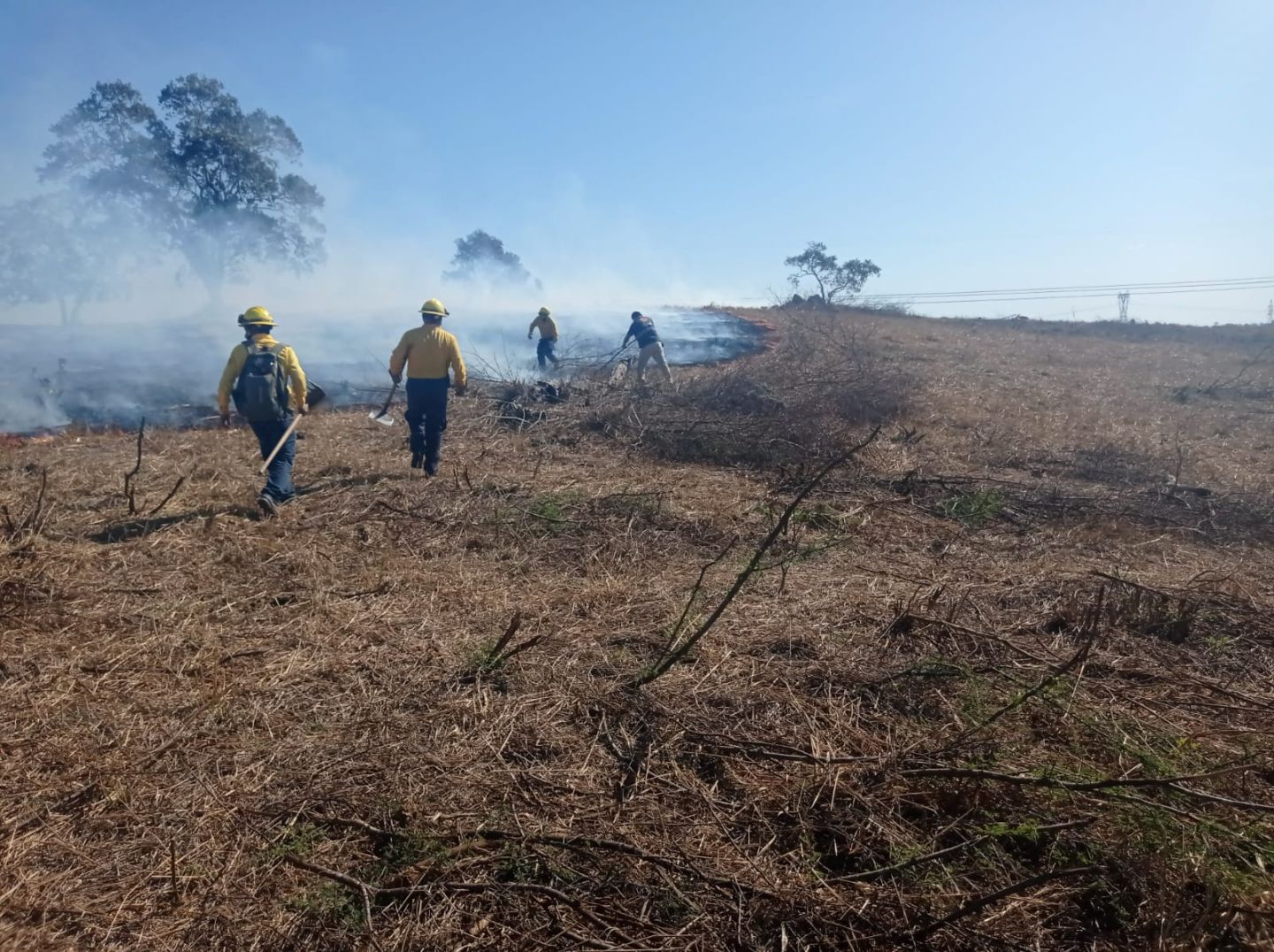Seguimiento a incendio de pastizal en límites de Ozuluama de Mascareñas y Tampico Alto