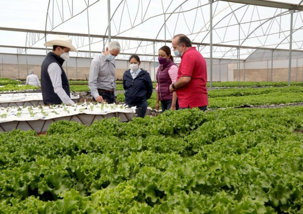 El Edoméx impulsa el cultivo de hidroponía y consumo de alimentos saludables con acuerdo de capacitación para productores del campo
