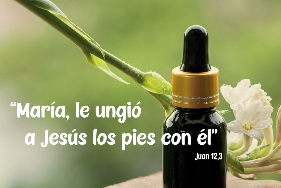 ’ María le ungió a Jesús los pies ’