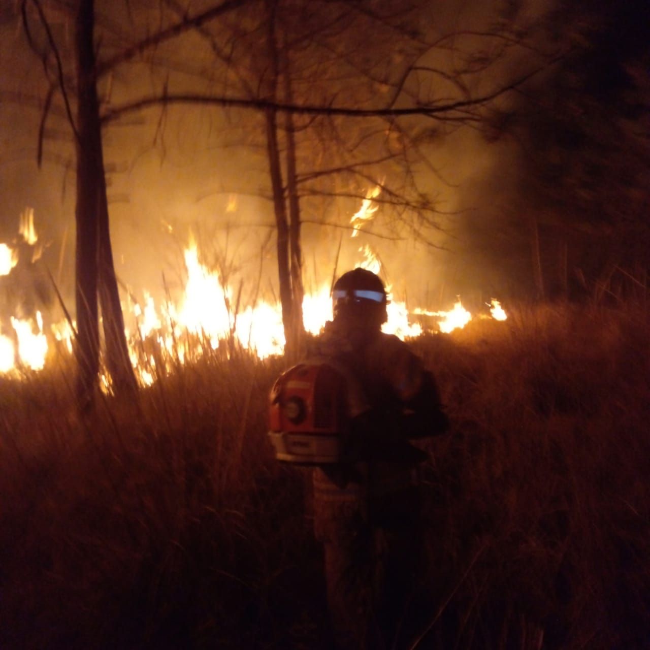Incendio Forestal en Coatlinchan es Controlado por Bomberos Texcoco