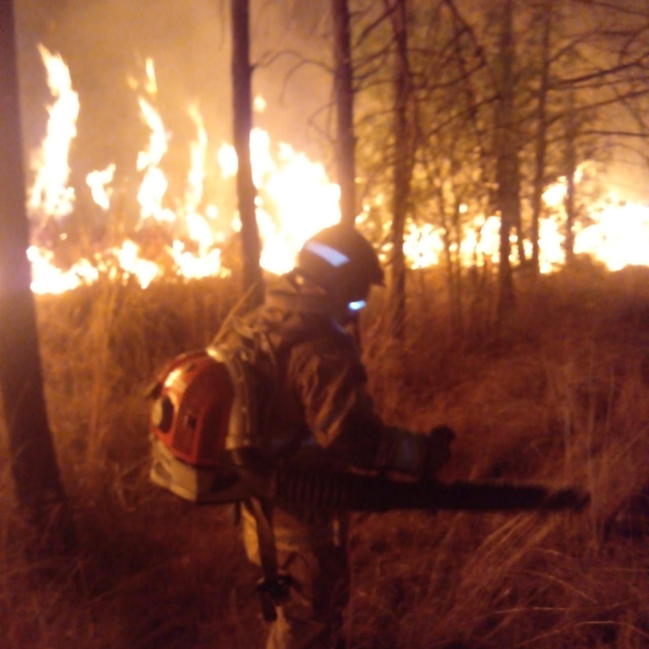 #Esperan que PROBOSQUE Y CONAFOR sofoquen incendio forestal en Texcoco