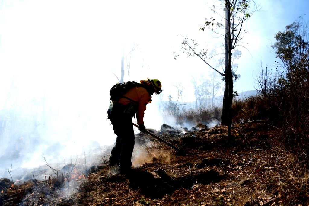 El GEM combate incendios forestales durante el periodo vacacional de Semana Santa