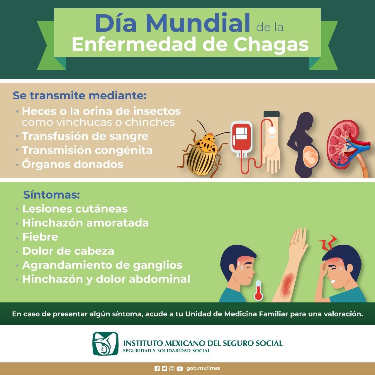 Ofrece IMSS Veracruz Sur recomendaciones
para evitar enfermedad de chagas