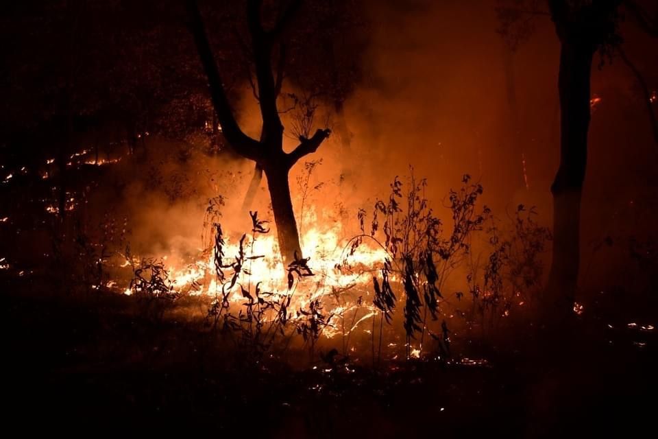 Combate GEM  60 Incendios Forestales en Semana  Santa 