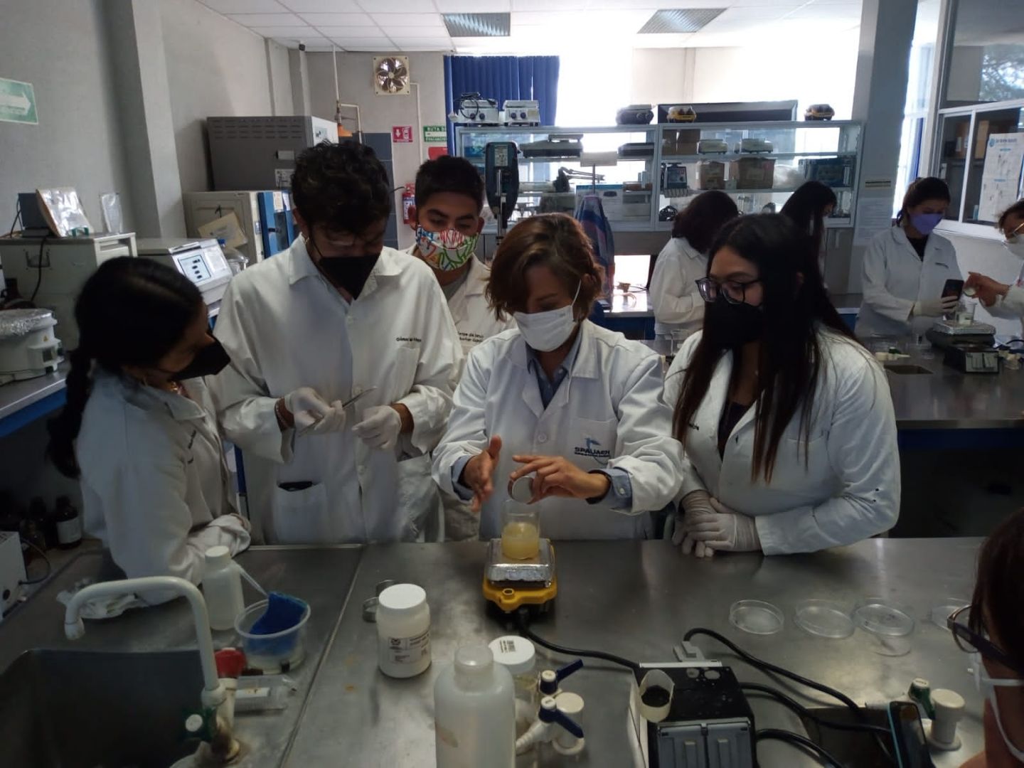 Investigadores de la UAEH desarrollan bioplásticos a partir de residuos orgánicos