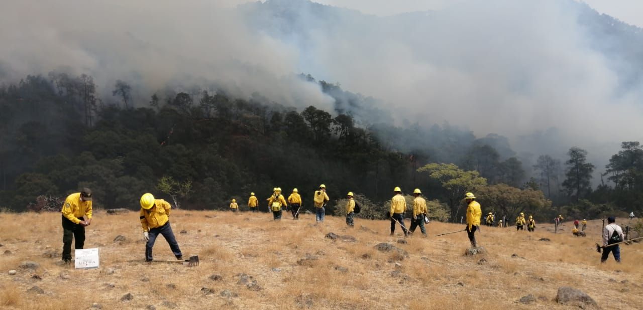 Informan avance de 90% en control de incendio forestal en Tejupilco