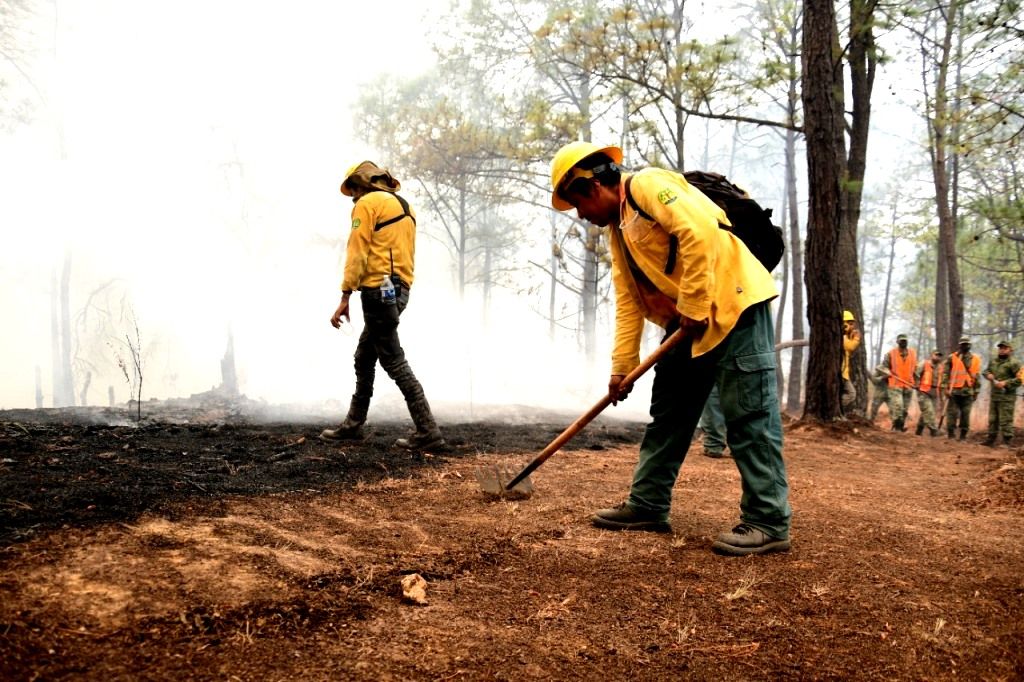 Controlan brigadistas incendio forestal en Tejupilco