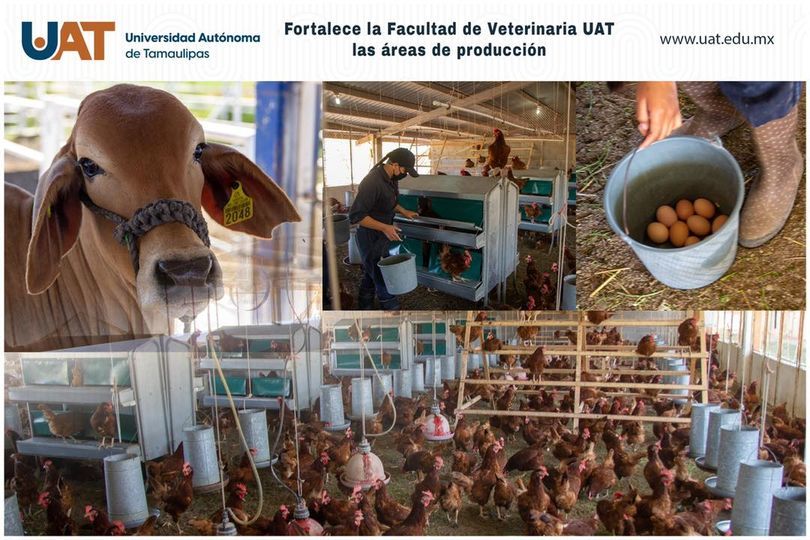 Fortalece UAT las áreas de producción de la Facultad de Veterinaria