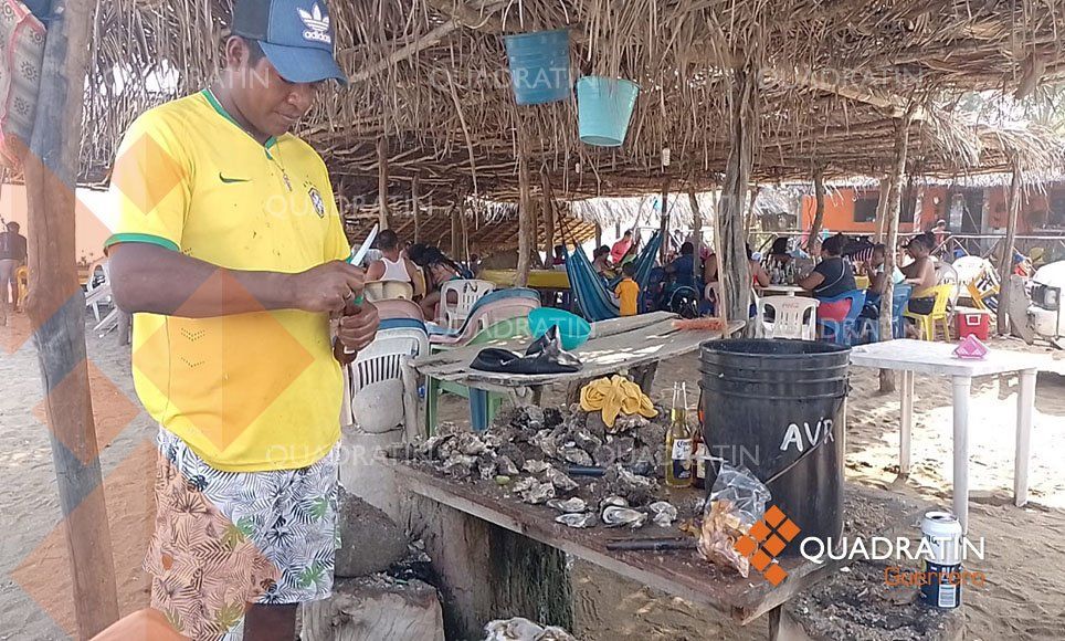 Afecta veda de moluscos a familias de 50 buzos en Playa Ventura