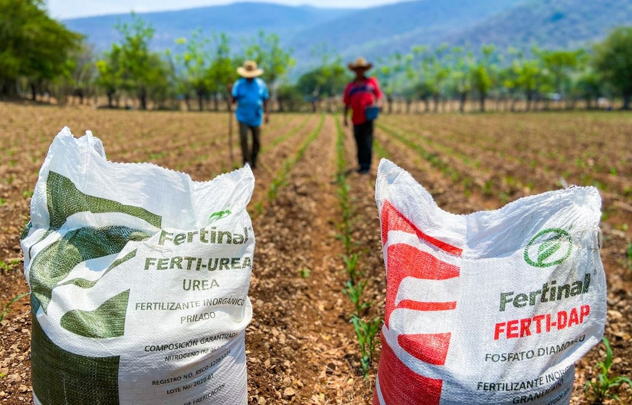 Más de 300 mil productores se beneficiarán con programa de fertilizante: Marco Tulio