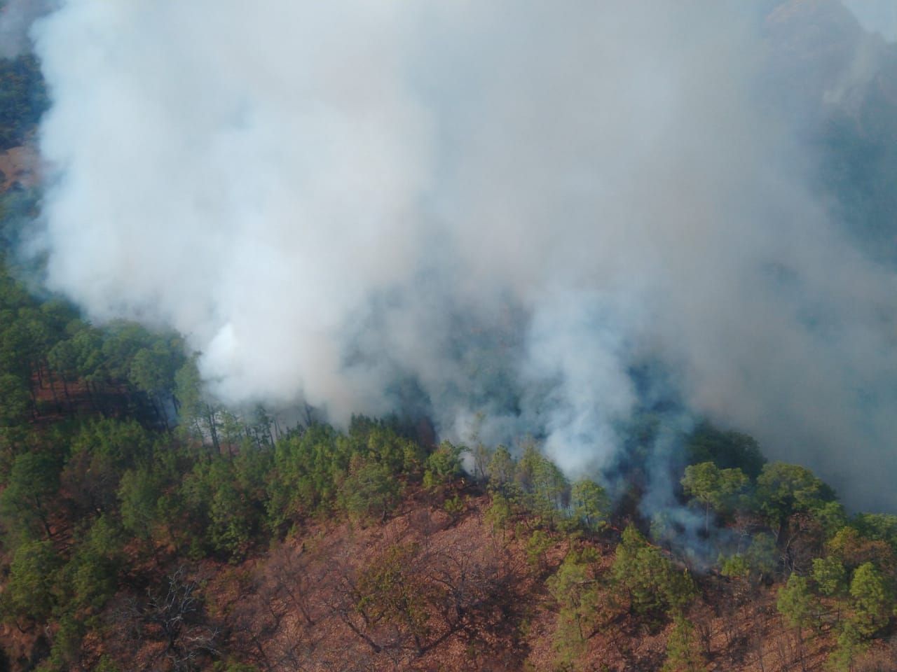 Inician labores de liquidación y rescoldeo en incendio registrado en Zacazonapan
