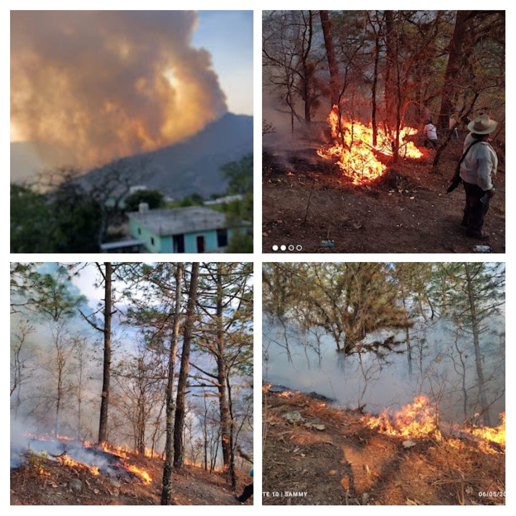 Ciudadanos de Villa Hidalgo Yalalag, Oaxaca piden ayuda para sofocar incendios forestal