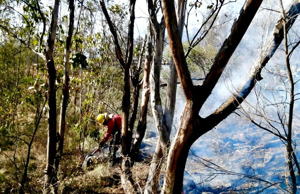 Controlan incendio registrado en el Parque estatal Sierra de Guadalupe