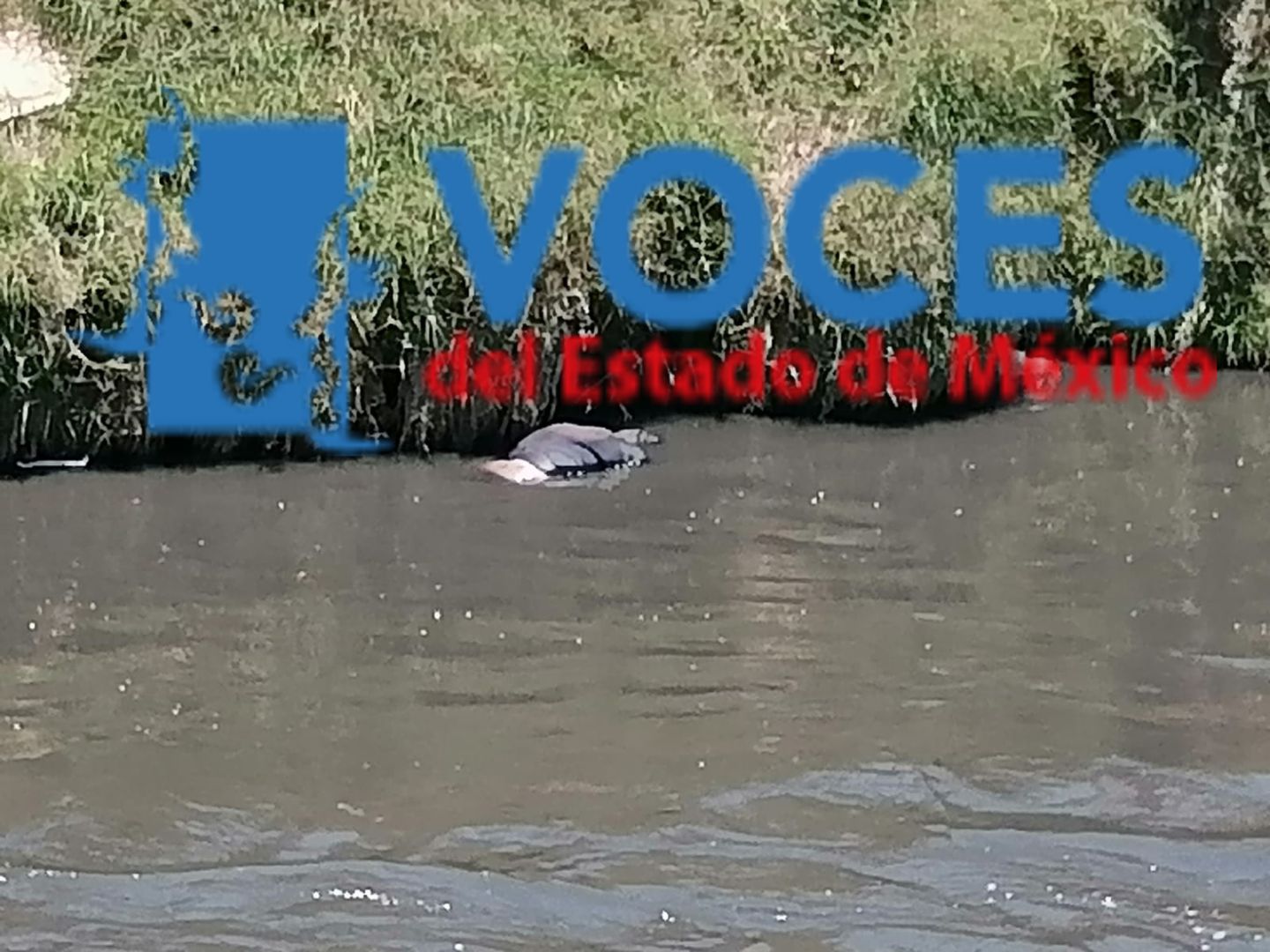 Encuentran hombre flotando en Río de la compañía en tramo de municipios Chimalhuacán - Nezahualcóyotl 