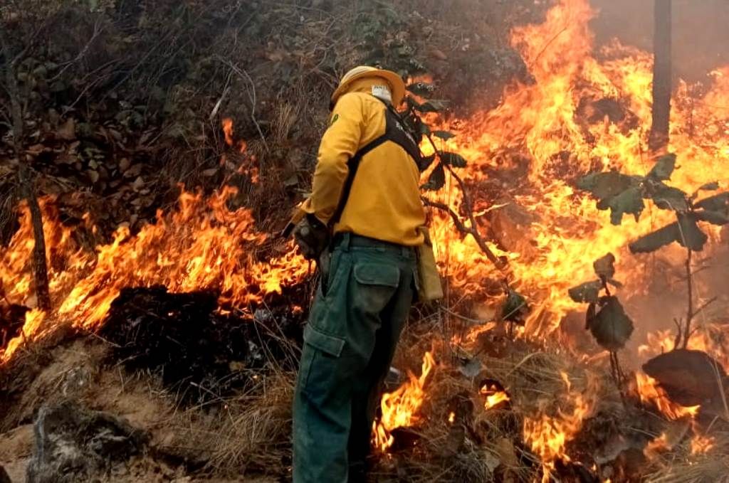 Controlan incendio forestal en Almoloya de Alquisiras