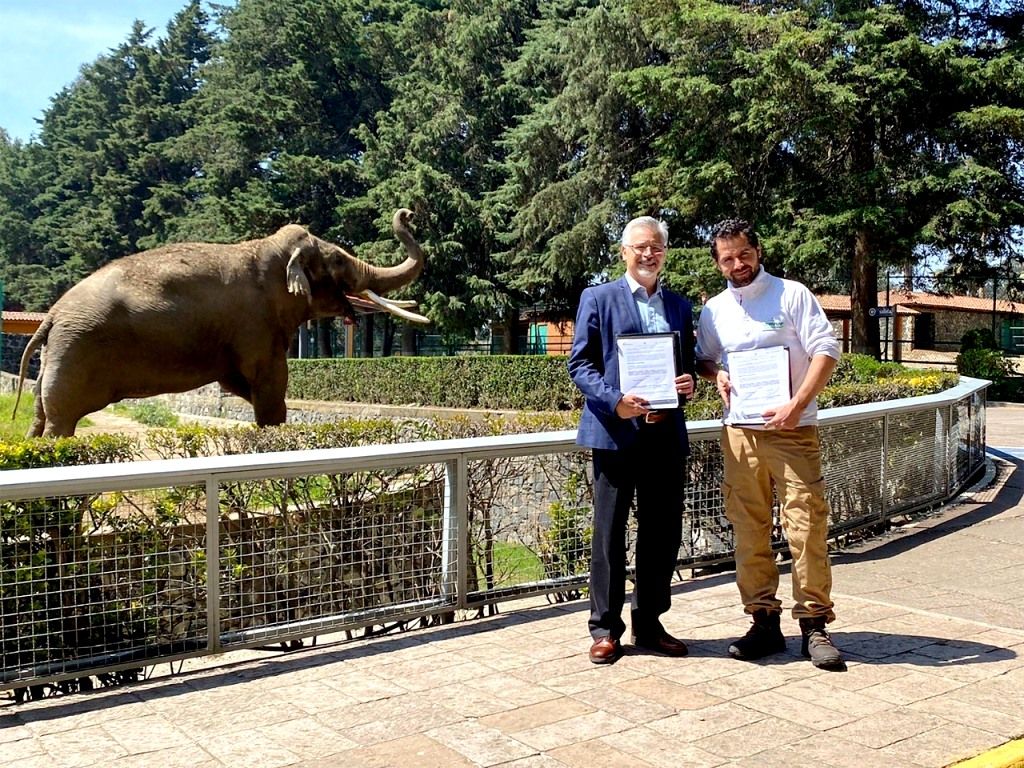 Firman convenio de colaboración el Edoméx y el Fondo Mundial para la Naturaleza México (WWF)