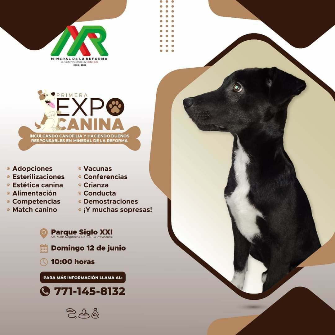 Llega la "1ra Expo Canina" en Mineral de la Reforma 
