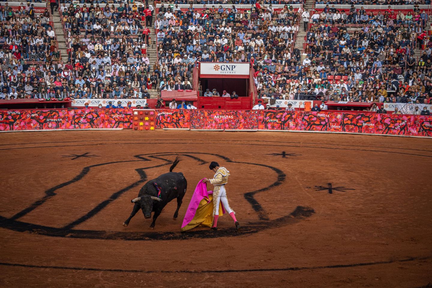 Peligran 500 años de tradición taurina en México