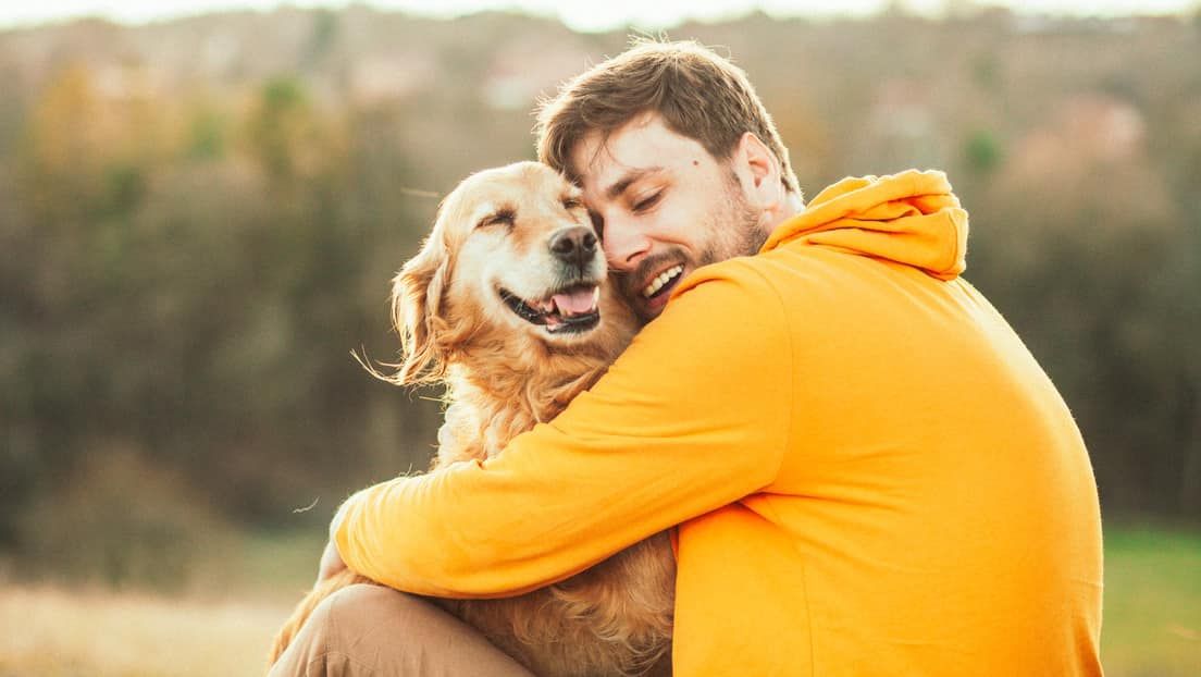 Científicos explican por qué los perros lograron convertirse en el mejor amigo del hombre
