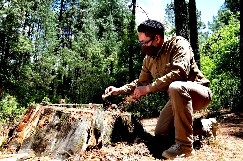 Probosque cumple 32 años de impulsar el manejo y cuidado de los bosques del Edoméx